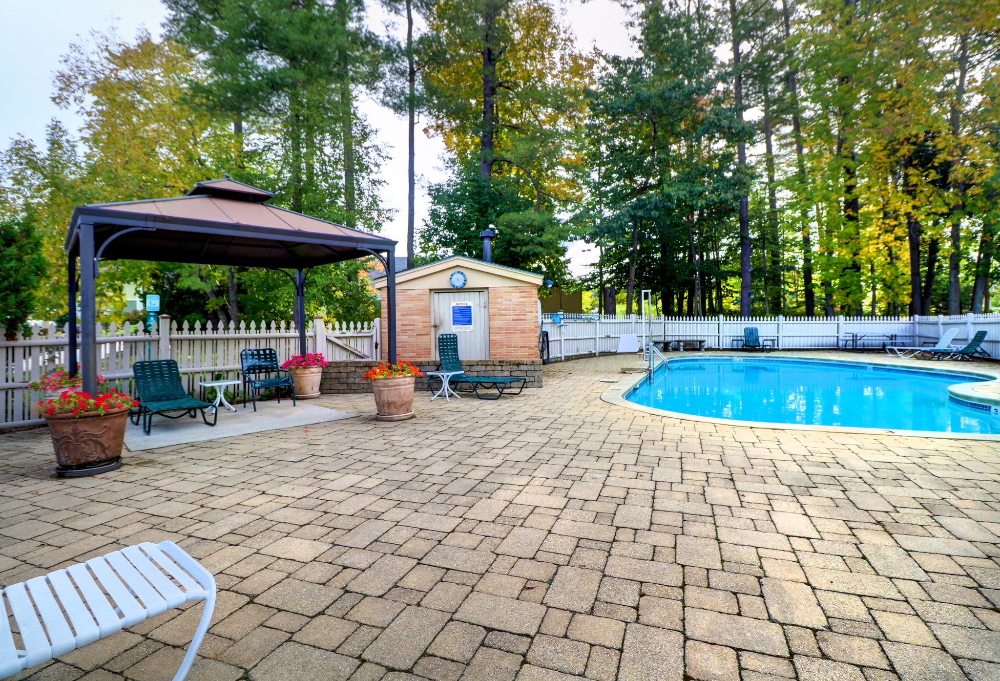 Outdoor Pool Senator Inn & Spa