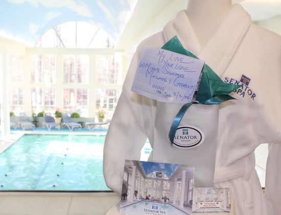 senator spa robe menu of services link