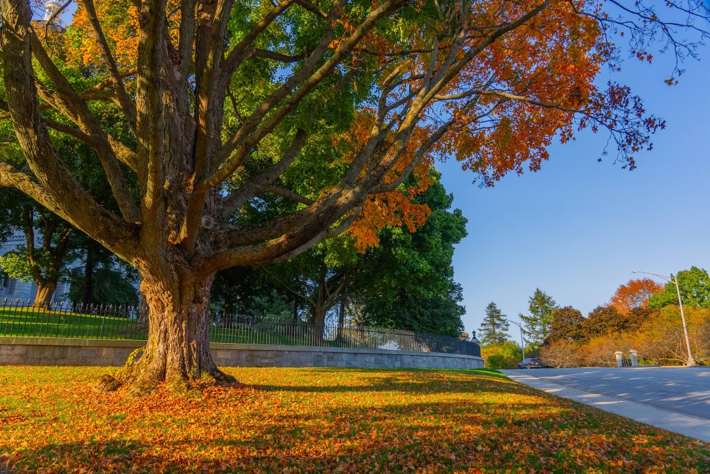 augusta maine fall